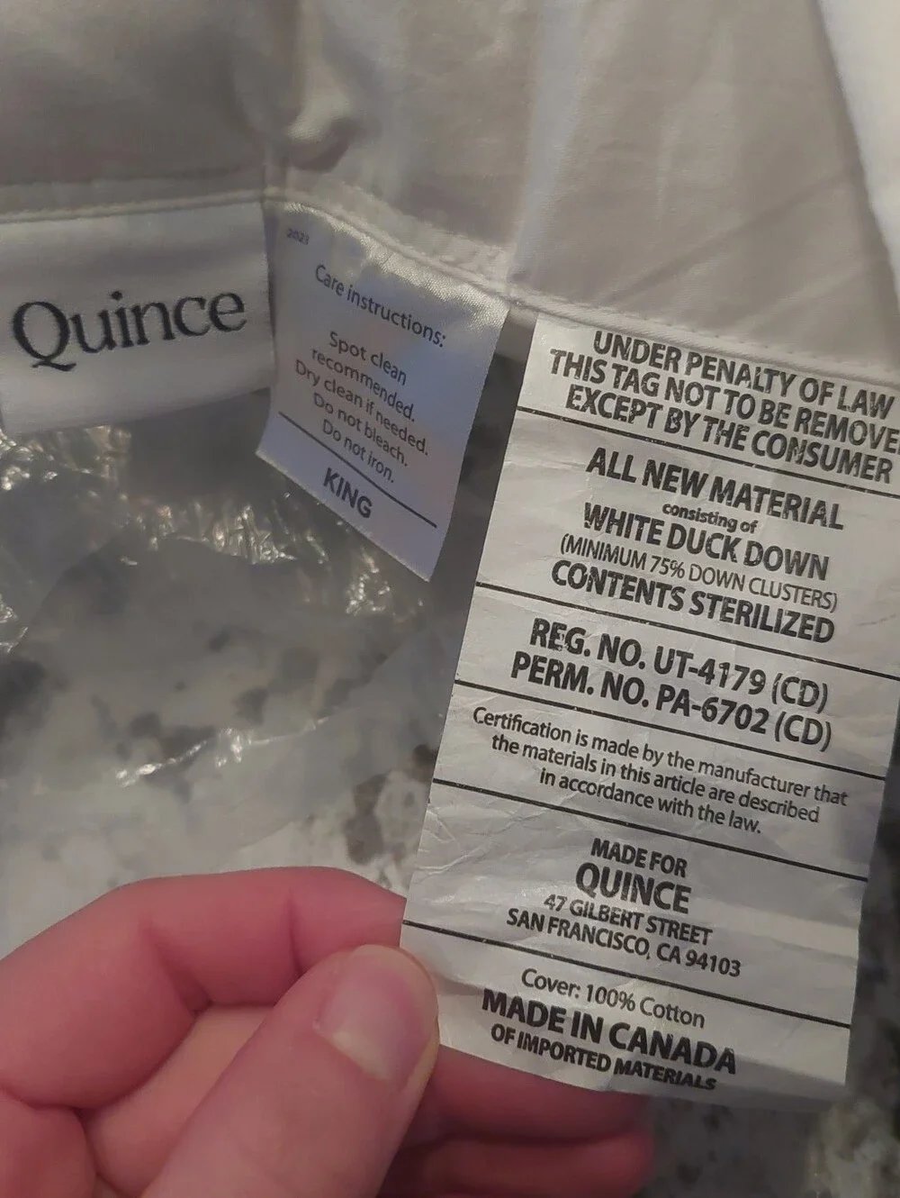 Quince Duck Down Premium Pillow! King(Medium)(P53)